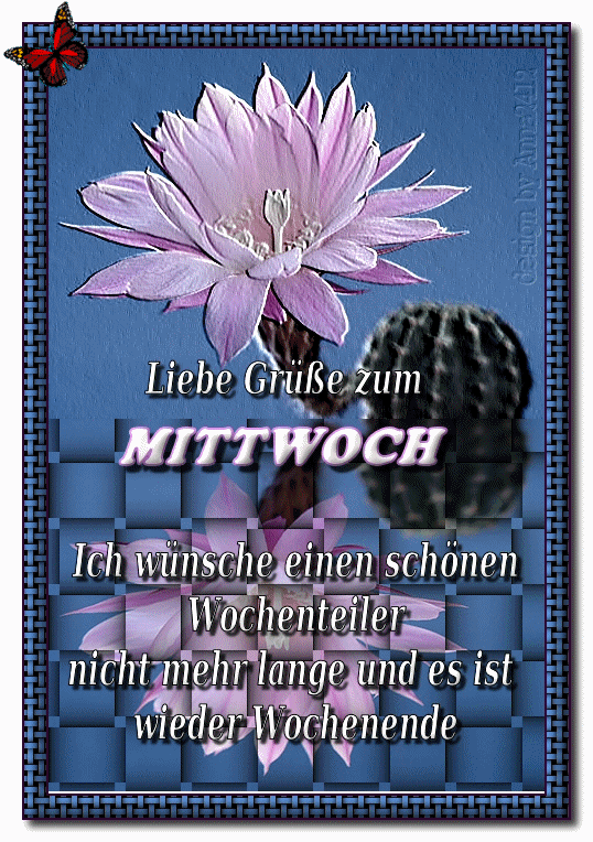 mittwoch-wochenteiler_6