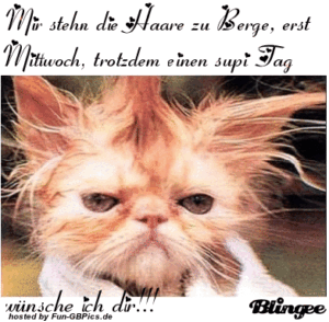 mittwochsgrüsse gif