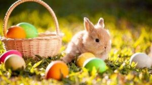 ostern bilder