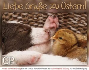 ostern grüße