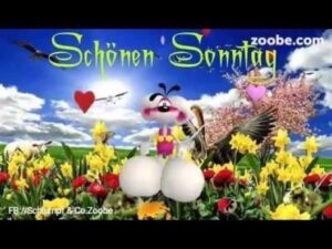 schönes wochenende video