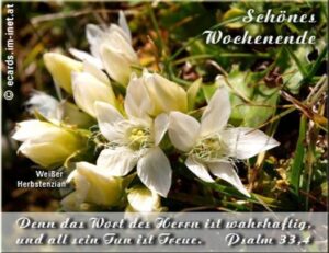 sprüche schönes wochenende