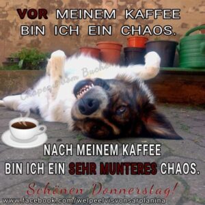 donnerstag bilder lustig