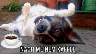 ᐅ donnerstag bilder lustig - Donnerstag GB Pics - GBPicsBilder