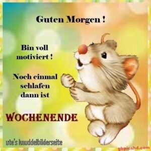 donnerstag bilder zum lachen