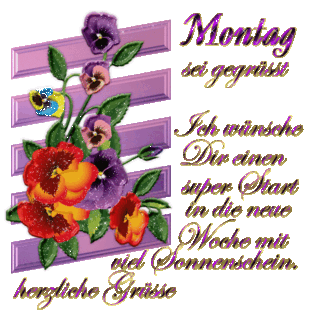 montag bilder dreamies