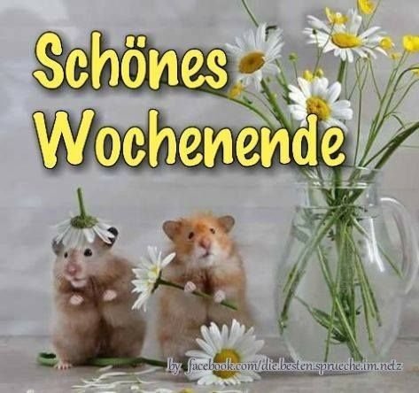 ᐅ whatsapp gruesse wochenende kostenlos - Wochenende - GB Pics -  GBPicsBilder