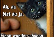 ᐅ witzige guten morgen spruche facebook - Montag GB Pics - GBPicsBilder