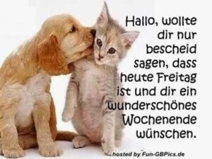 frohes wochenende bilder