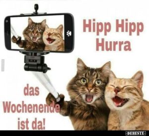 hurra wochenende bilder