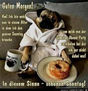 schonen sonntag lustige bilder