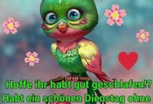 ᐅ dienstag bilder lustig kostenlos - Montag GB Pics - GBPicsBilder