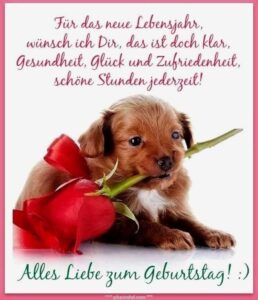 geburtstagsbilder whatsapp kostenlos