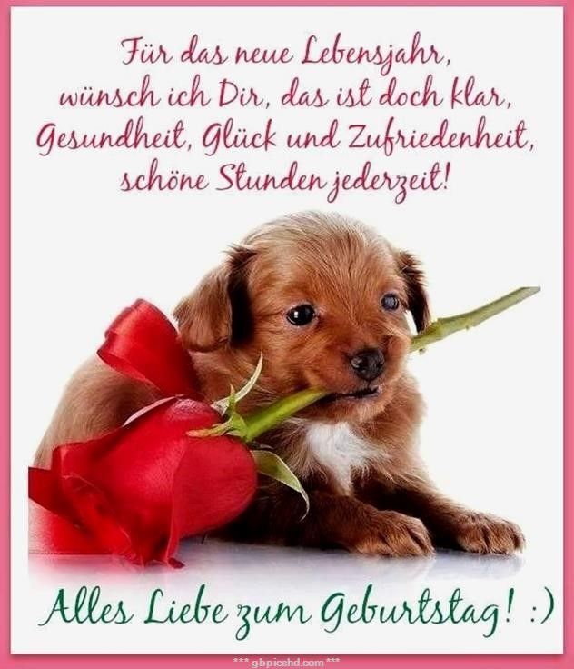 ᐅ Geburtstagsbilder Whatsapp Kostenlos GB Pics GBPicsBilder