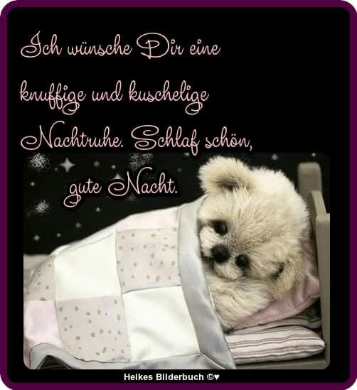 ᐅ gute nacht spruche fur freunde - Gute Nacht GB Pics - GBPicsBilder ᐅ gute nacht spruche fur freunde - Gute Nacht GB Pics - GBPicsBilder
