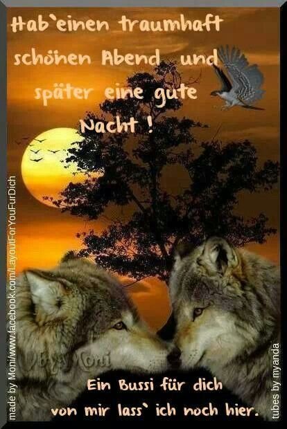 ᐅ gute nacht spruche fur freunde - Gute Nacht GB Pics - GBPicsBilder ᐅ gute nacht spruche fur freunde - Gute Nacht GB Pics - GBPicsBilder