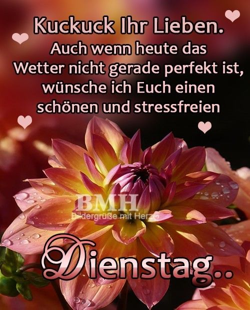 ᐅ einen schonen dienstag - Dienstag GB Pics - GBPicsBilder ᐅ einen schonen dienstag - Dienstag GB Pics - GBPicsBilder