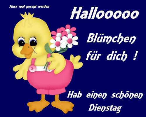 ᐅ einen schonen dienstag - Dienstag GB Pics - GBPicsBilder ᐅ einen schonen dienstag - Dienstag GB Pics - GBPicsBilder