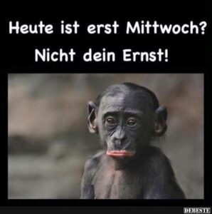 erst mittwoch spruche