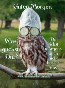 guten morgen grus witzig