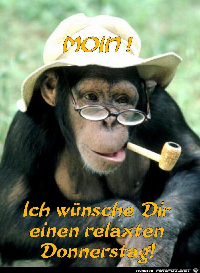 ᐅ guten morgen lustig donnerstag - Donnerstag GB Pics - GBPicsBilder ᐅ guten morgen lustig donnerstag - Donnerstag GB Pics - GBPicsBilder