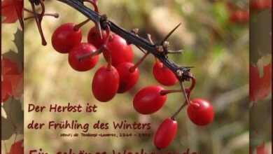 ᐅ herbstliches wochenende bilder - Guten Morgen GB Pics - GBPicsBilder