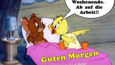 ᐅ lustige guten morgen bilder donnerstag - Guten Morgen GB Pics - GBPicsBilder