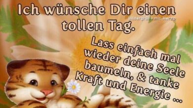 ᐅ lustige spruche fur sonntag - Wochenende GB Pics - GBPicsBilder