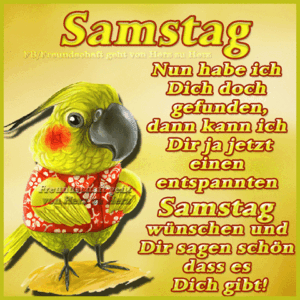 samstags bilder dreamies