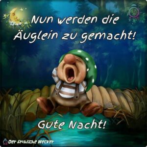 schoene gute nacht bilder
