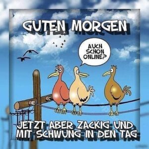 schonen sonntag lustige spruche