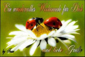 schones wochenende bilder gratis