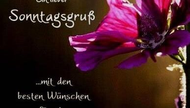 ᐅ sonntagsgrus spruch - Sonntag GB Pics - GBPicsBilder