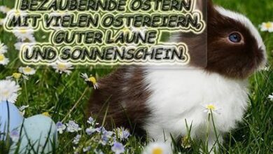 ᐅ whatsapp oster bilder - Ostern GB Pics - GBPicsBilder