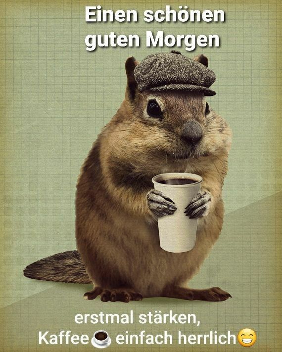 ᐅ witzige guten morgen gruse - Guten Morgen GB Pics - GBPicsBilder ᐅ witzige guten morgen gruse - Guten Morgen GB Pics - GBPicsBilder