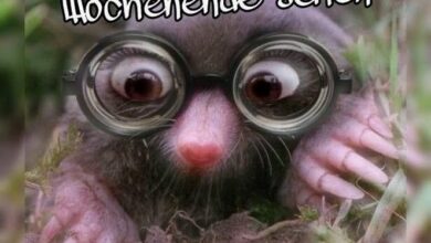 ᐅ wochenende bilder jpg - Sonntag GB Pics - GBPicsBilder