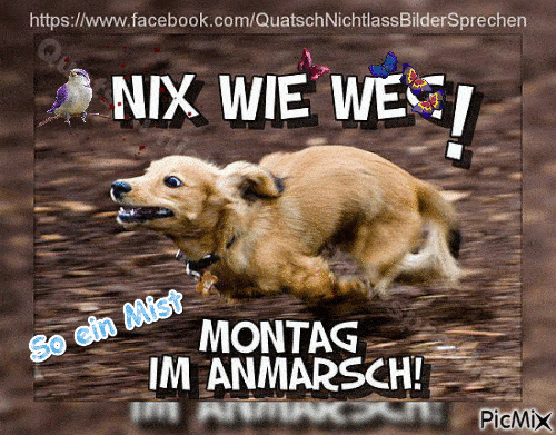 ᐅ bilder montag im anmarsch - Montag GB Pics - GBPicsBilder