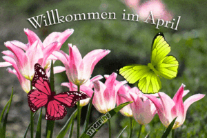 bilder zum april