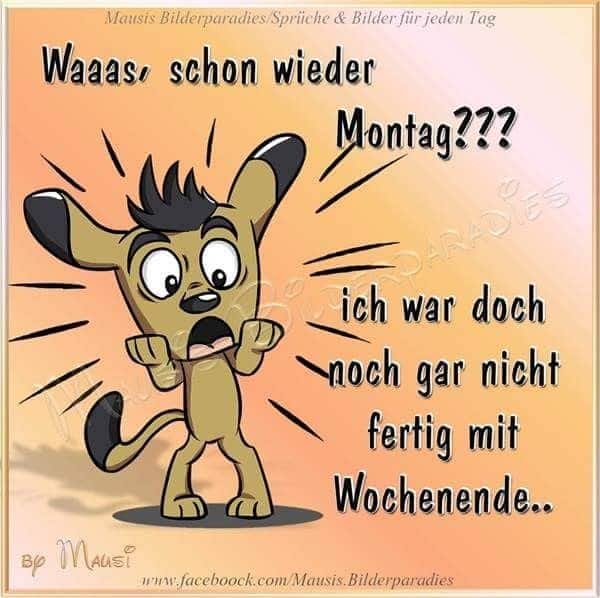 ᐅ boser montag bilder - Montag GB Pics - GBPicsBilder ᐅ boser montag bilder - Montag GB Pics - GBPicsBilder