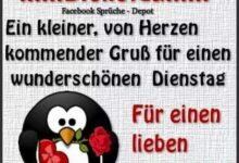 ᐅ dienstag bilder lustig kostenlos dienstag pics - Dienstag GB Pics - GBPicsBilder