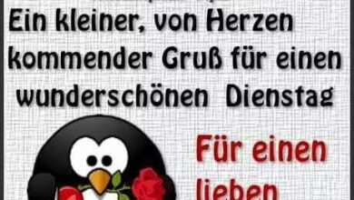 ᐅ dienstag bilder lustig kostenlos dienstag pics - Dienstag GB Pics - GBPicsBilder