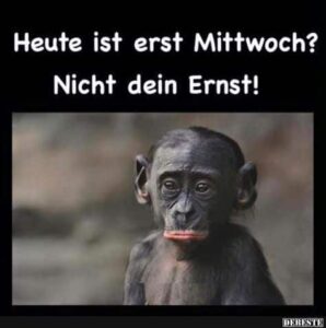 erst mittwoch spruche mittwoch pics