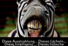 ᐅ erst mittwoch spruche pics - Mittwoch GB Pics - GBPicsBilder