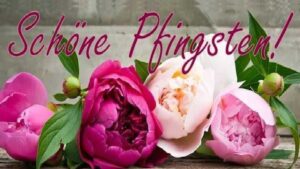 frohe pfingsten bilder