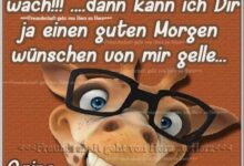 ᐅ guten morgen lustig - Montag GB Pics - GBPicsBilder
