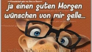 ᐅ guten morgen lustige bilder pics - Guten Morgen GB Pics - GBPicsBilder