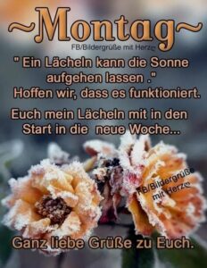 guten morgen spruche montag