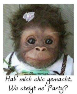 juhu wochenende bilder