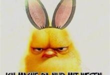 ᐅ lustige osterbilder fur whatsapp pics - Ostern GB Pics - GBPicsBilder