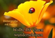 ᐅ mittwoch morgen spruche mittwoch pics - Mittwoch GB Pics - GBPicsBilder
